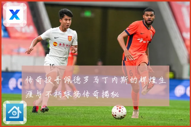 传奇投手佩德罗马丁内斯的辉煌生涯与不朽球场传奇揭秘