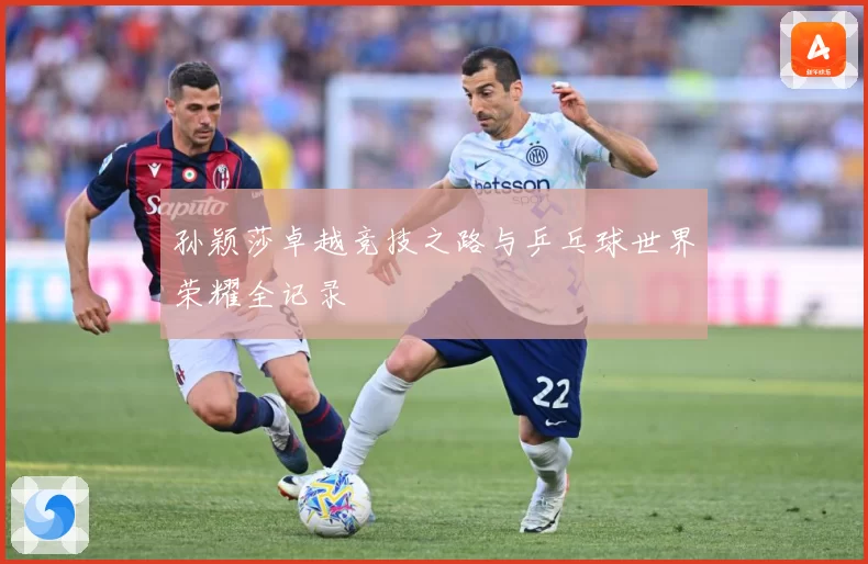 孙颖莎卓越竞技之路与乒乓球世界荣耀全记录
