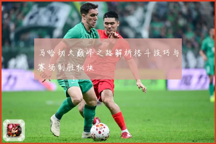 马哈切夫巅峰之路解析格斗技巧与赛场制胜秘诀